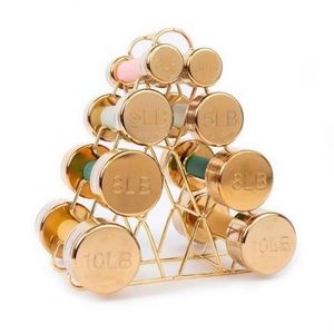 Blogilates tiered weight rack gold New!